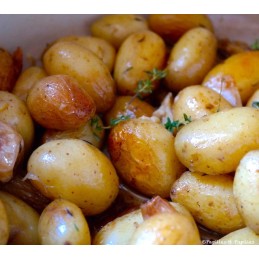POMMES DE TERRE grenaille